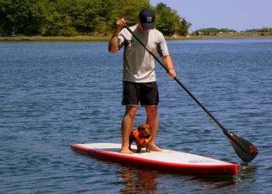 how to stand up paddleboard